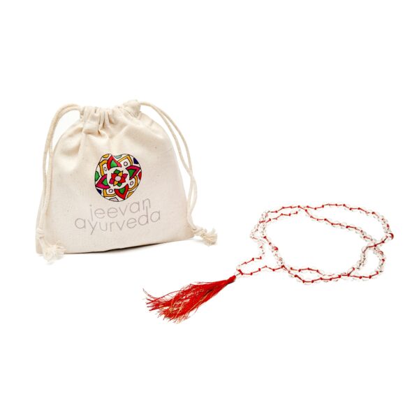 Mala Transparent i Vermell (002)